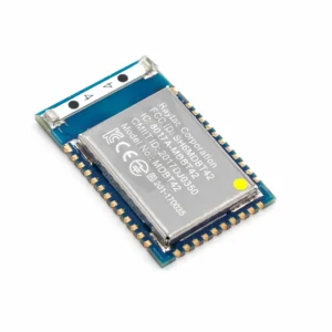 Raytac MDBT42Q-P512KV2 nRF52832 Bluetooth 5 Modül